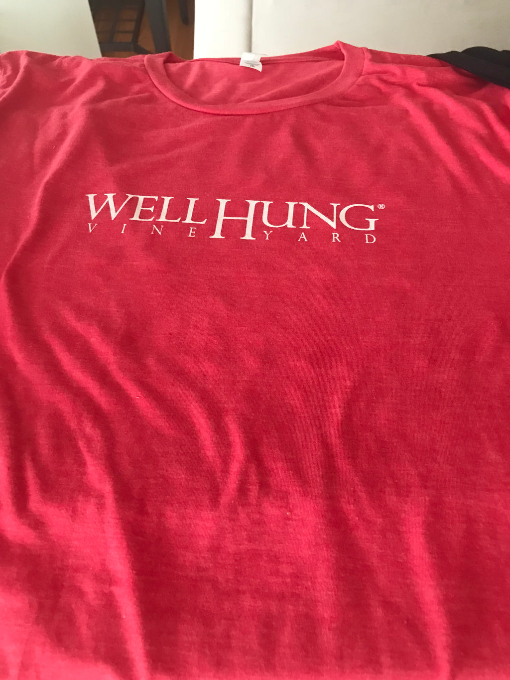 Well Hung Logo T (7 Colors)